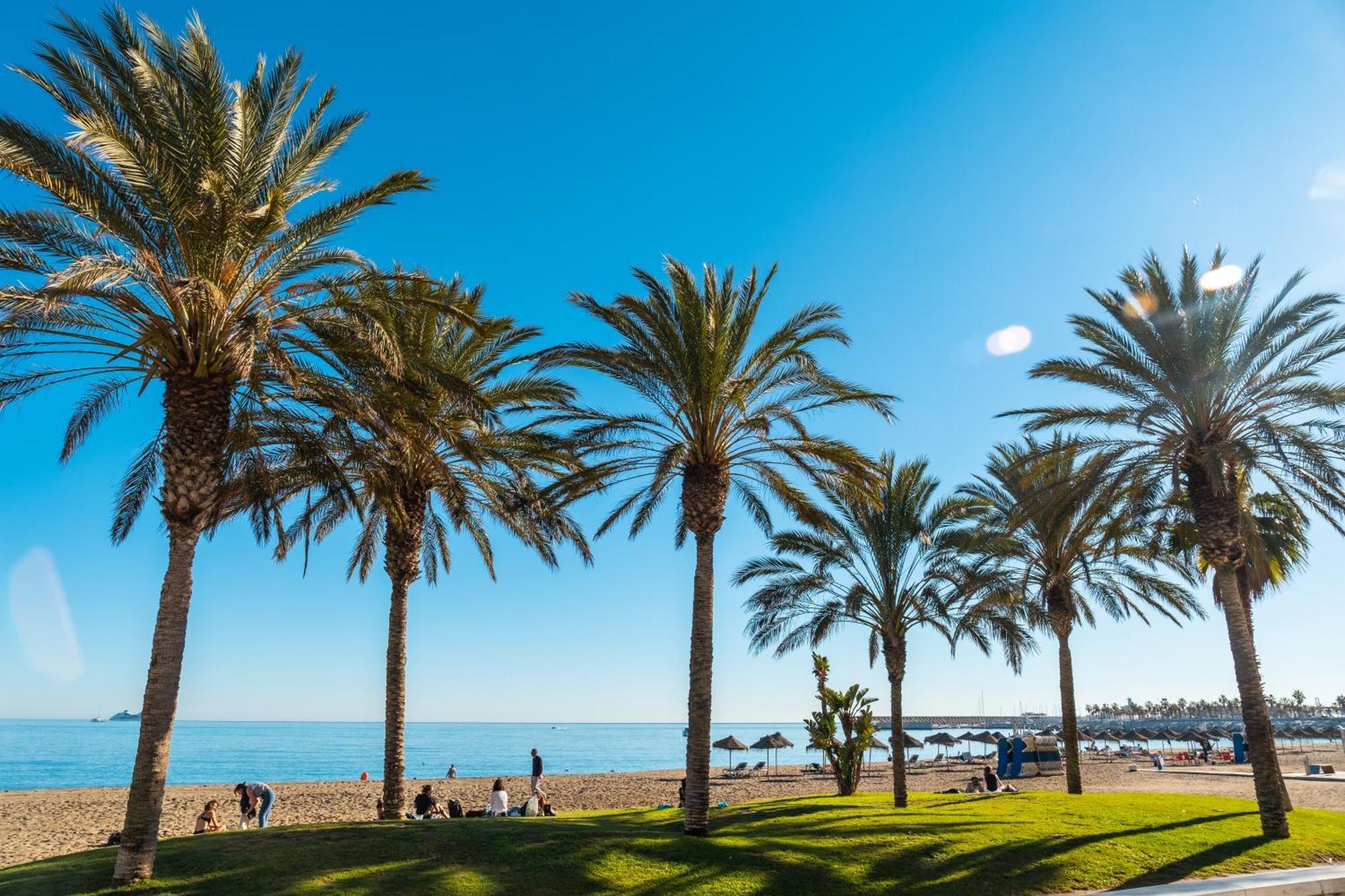 Your Home In Malaga Centro & Parking Free Bagian luar foto